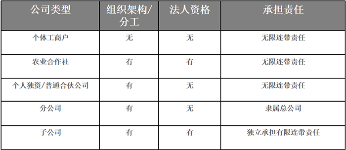 常见公司类型、组织架构/分工、法人资格、承担责任
