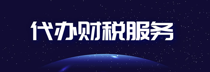 代办财税服务