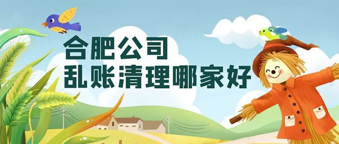 合肥公司乱账清理哪家好