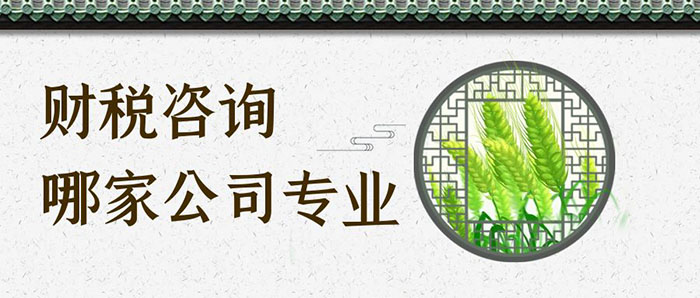 财税咨询哪家公司专业