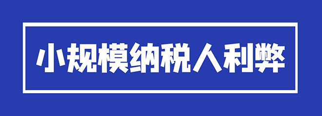 小规模纳税人的利弊