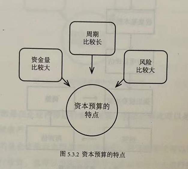 资本预算的特点