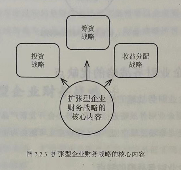 扩张型企业财务战略的核心内容