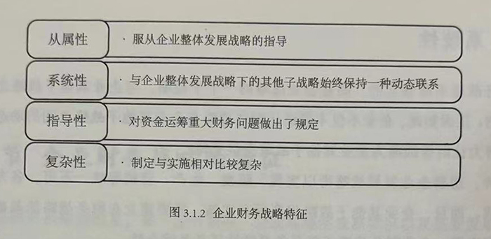企业财务战略特征