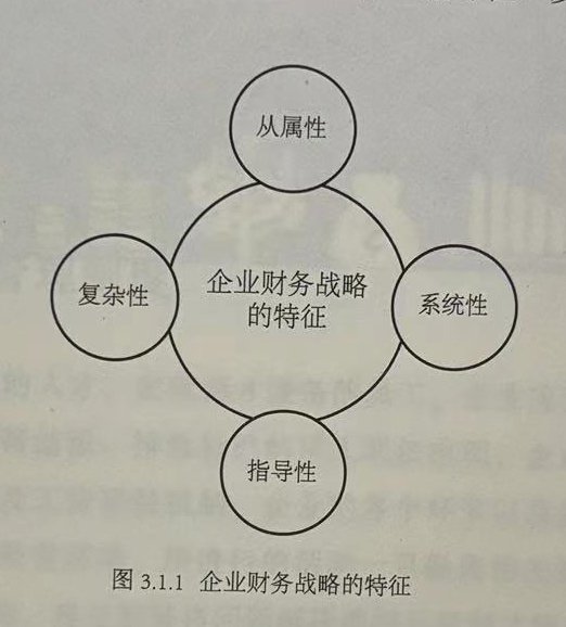 企业财务战略的特征