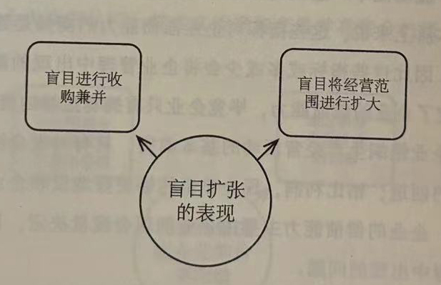 盲目扩张的表现