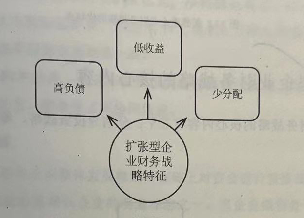 扩张型企业财务战略