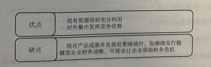 稳健型企业财务战略的优缺点
