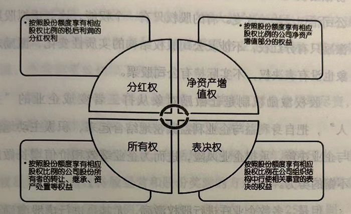 股权的职能