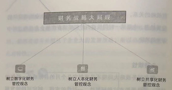 财务战略大局观的内容