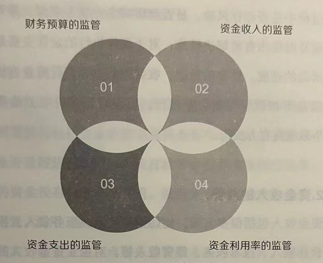财务监管的内容