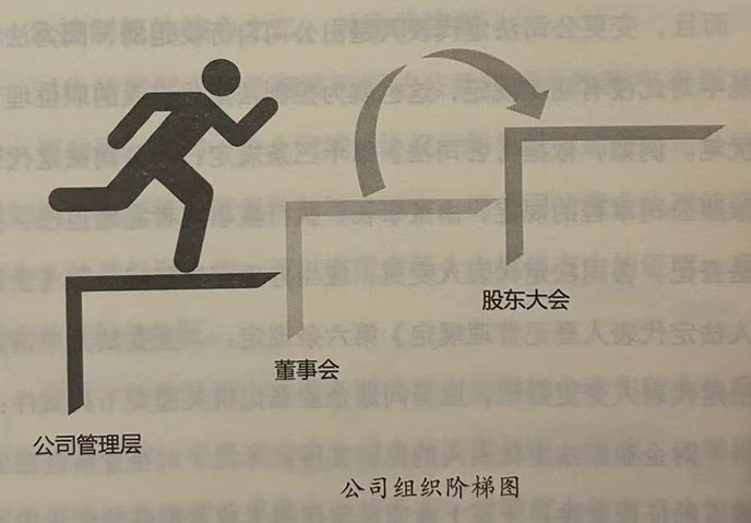 公司组织阶梯图